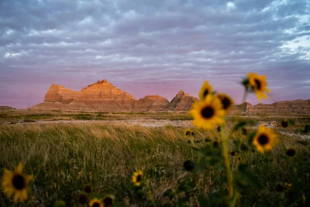 South Dakota Badlands at dusk