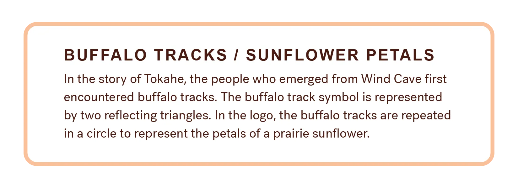 Buffalo Tracks and Sunflower Petals